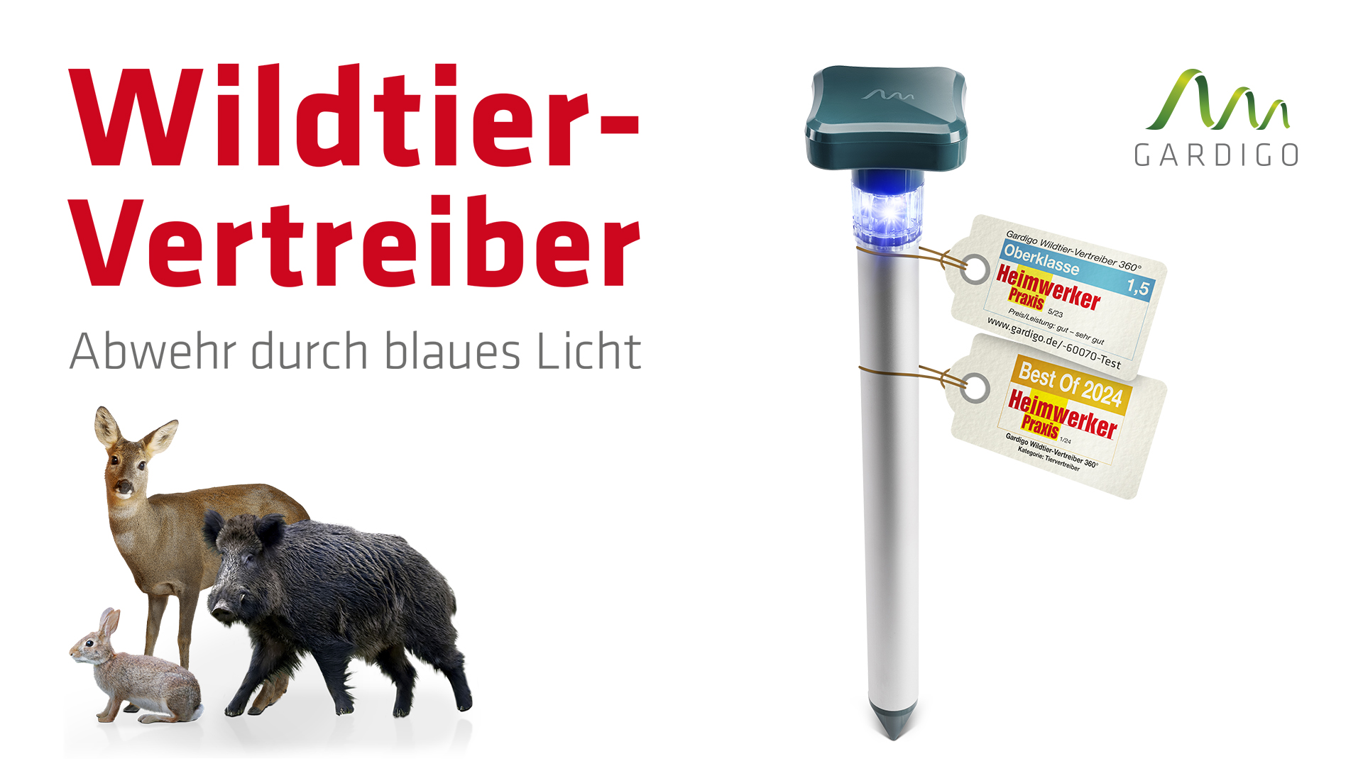 Video ansehen