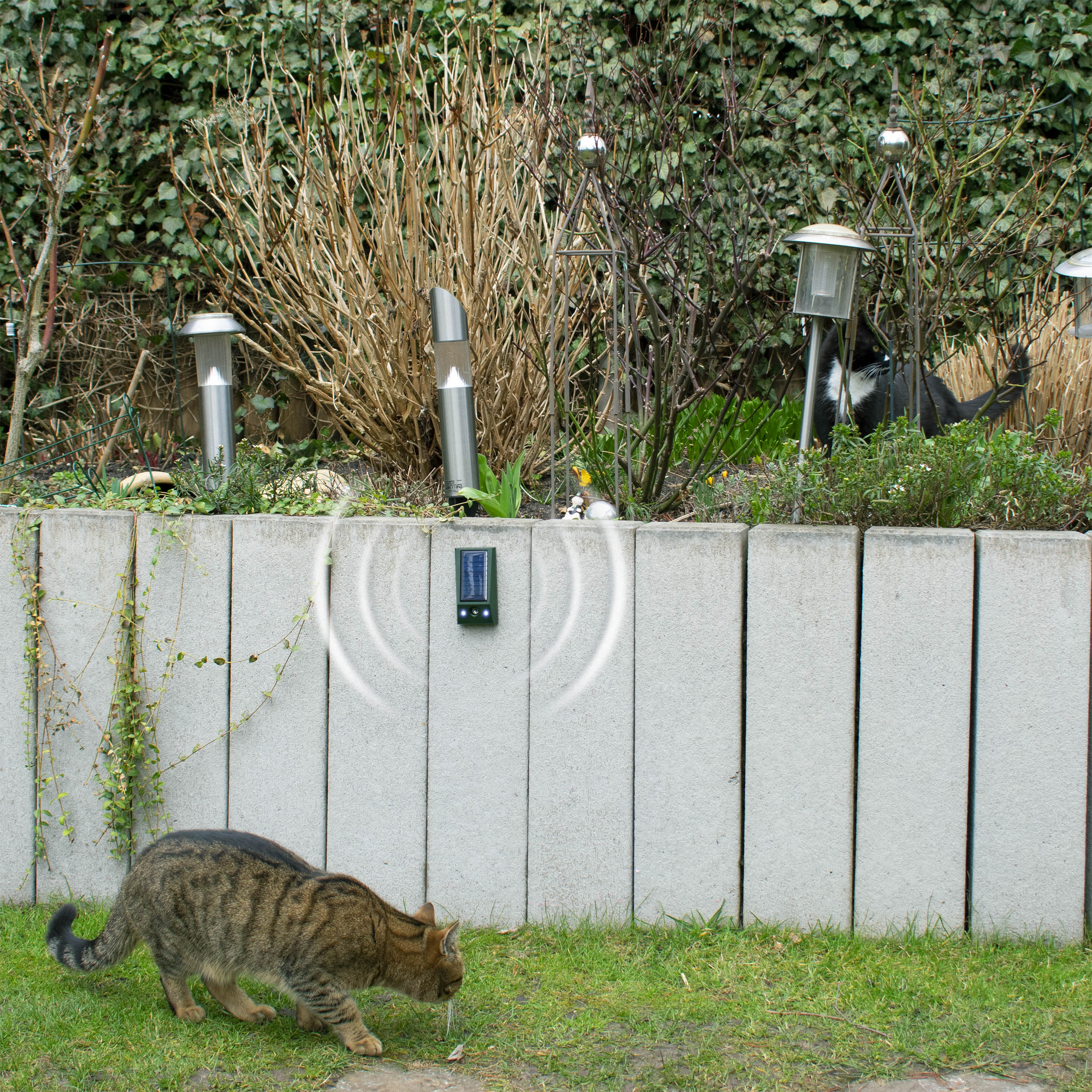 Bringen Sie das Gerät in der passenden Höhe an. Bei Nagern auf Knöchelhöhe, bei Hunden und Katzen auf Kniehöhe. 