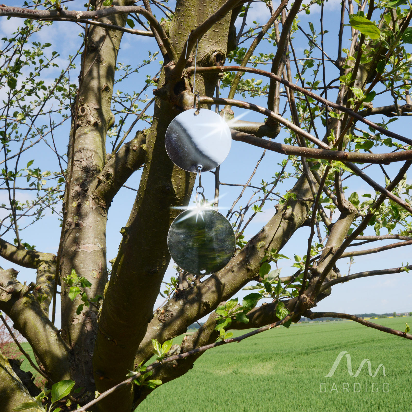 Wenn sich die Vögel über Ihr Obst hermachen bleibt meist nichts mehr für den Eigenbedarf. 