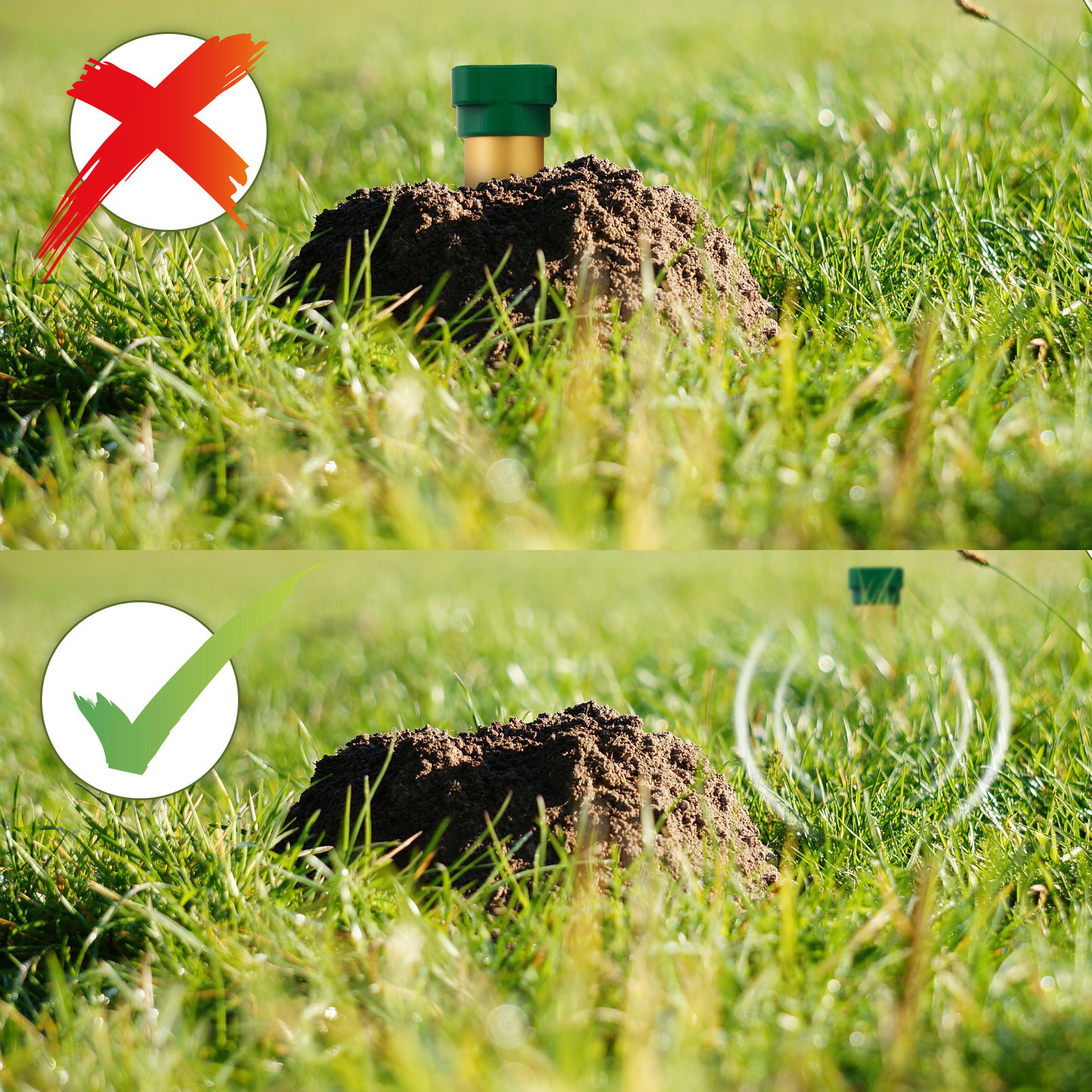 Maulwurfvertreiber richtig anwenden: Stecken Sie den Vertreiber nicht direkt in die Maulwurfshügel oder Gänge. 