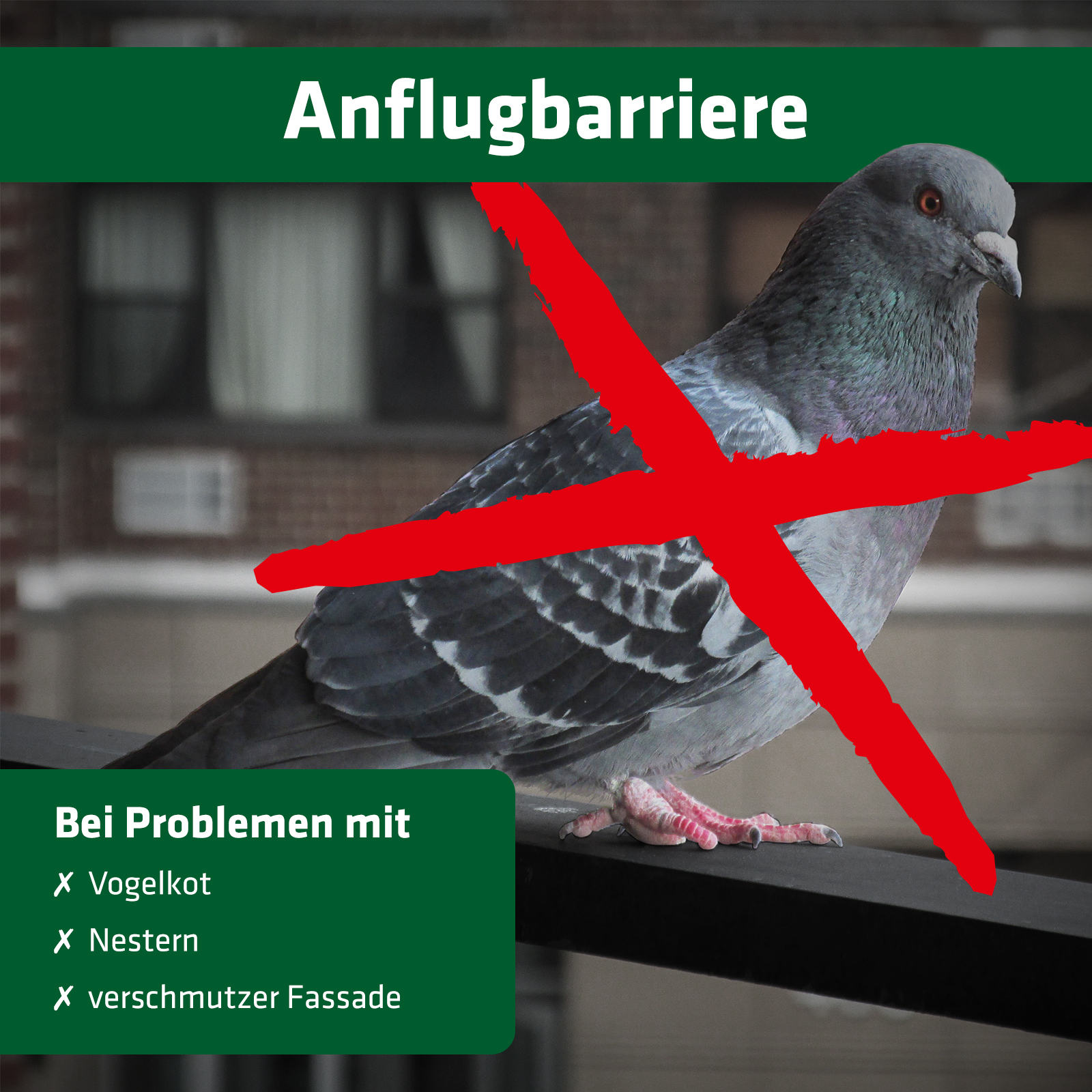 Die Vogelspikes sind eine Anflug- und Landebarriere für Balkone etc. Bei Problemen mit Vogelkot, Nestern und verschmutzter Fassade.