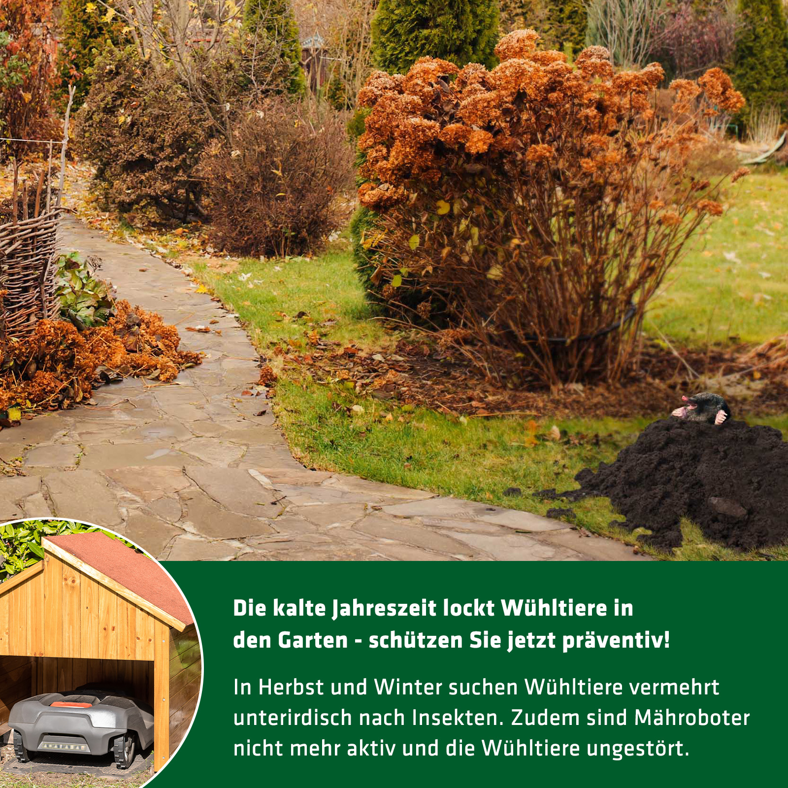 Maulwurf vertreiben im Herbst und Winter