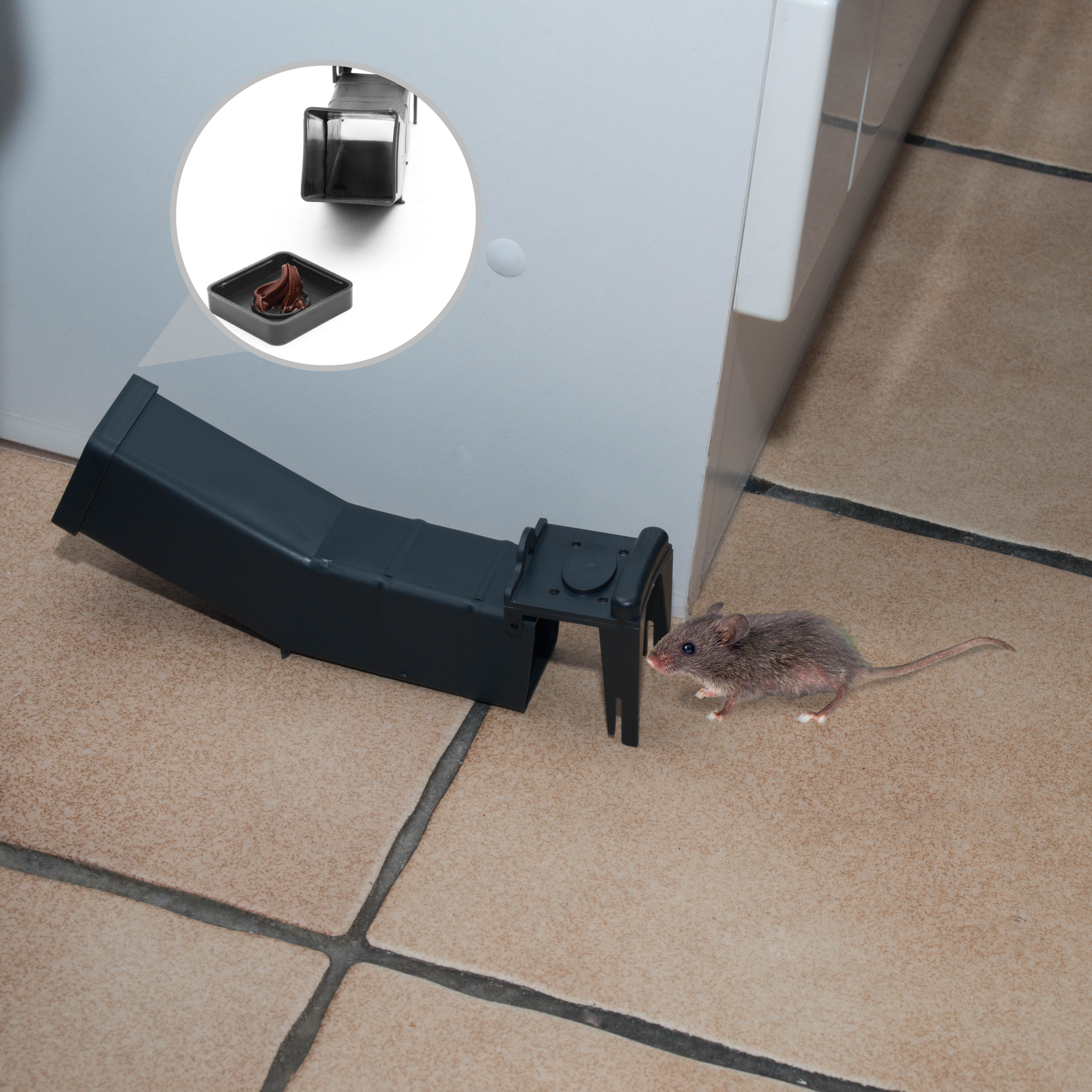 Die Falle wird mit einem streichfähigen Köder bestückt, zum Beispiel Nuss-Nougat-Creme oder Ernussbutter.