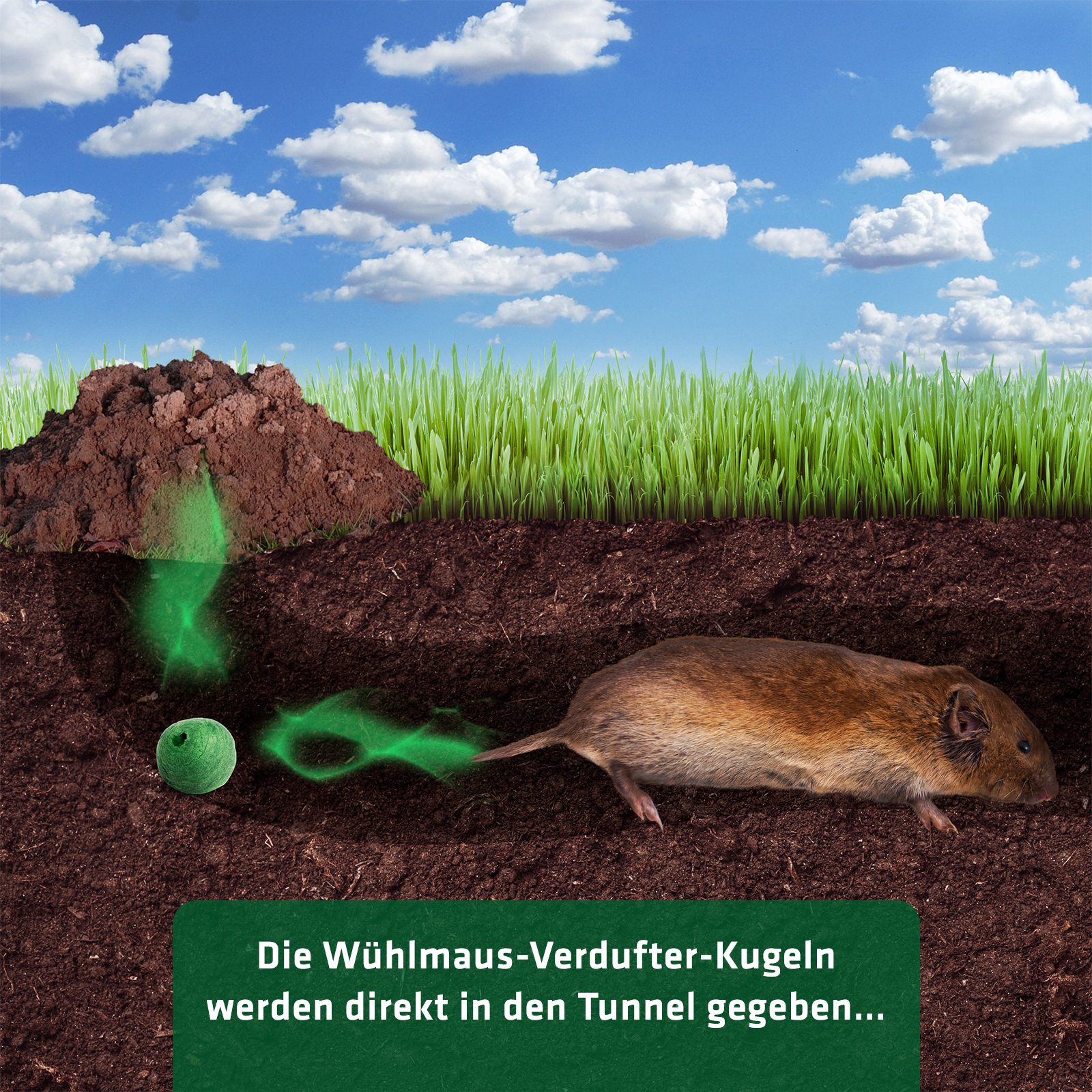 Anwendung direkt im Tunnel…