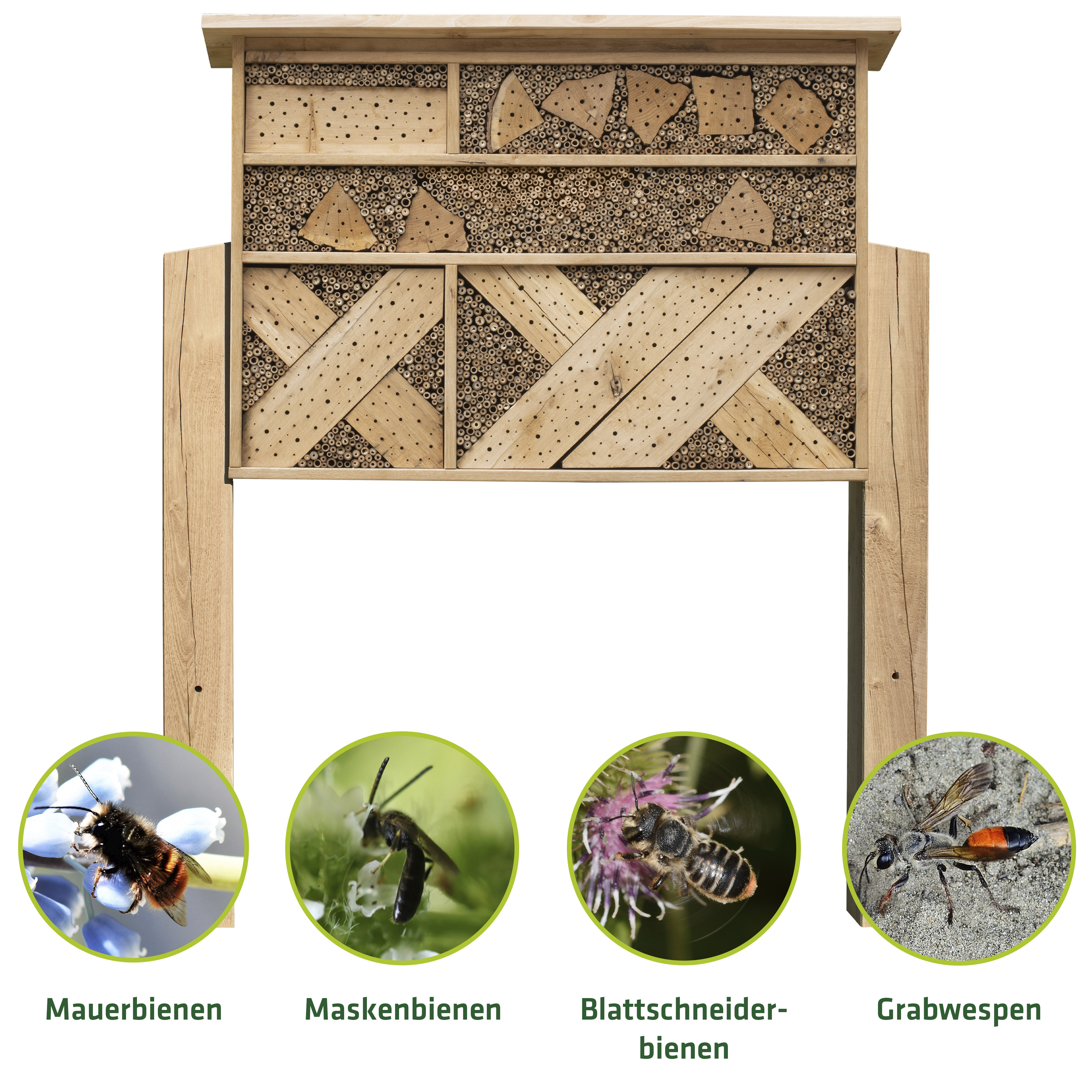 Unsere Sonderanfertigungen bieten für diverse Wildbienenarten eine sichere Unterkunft und Nisthilfe.