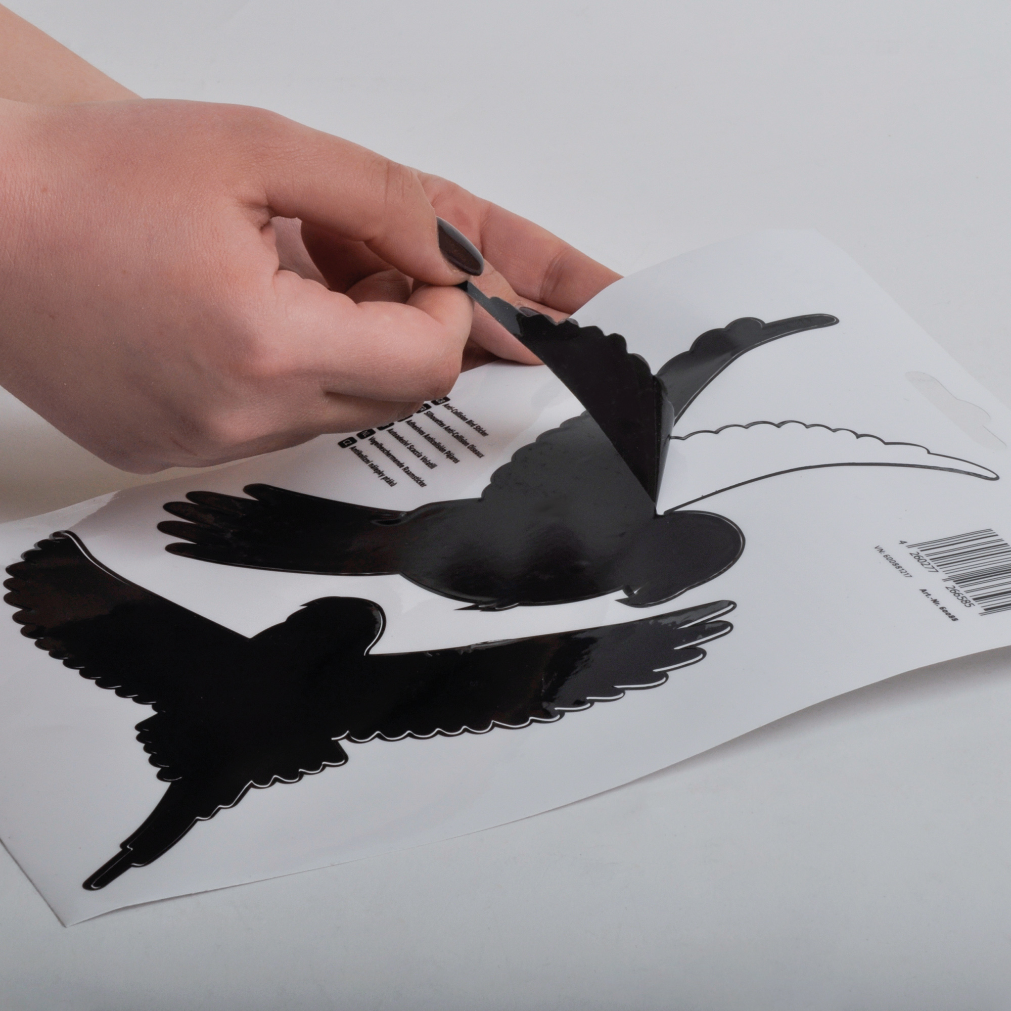 Autocollants Anti-Collision pour Oiseaux