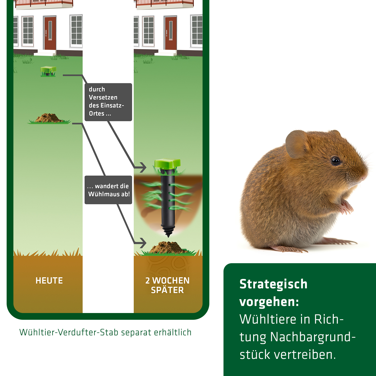 Wichtig beim Vertreiben von Wühltieren: strategisch vorgehen!