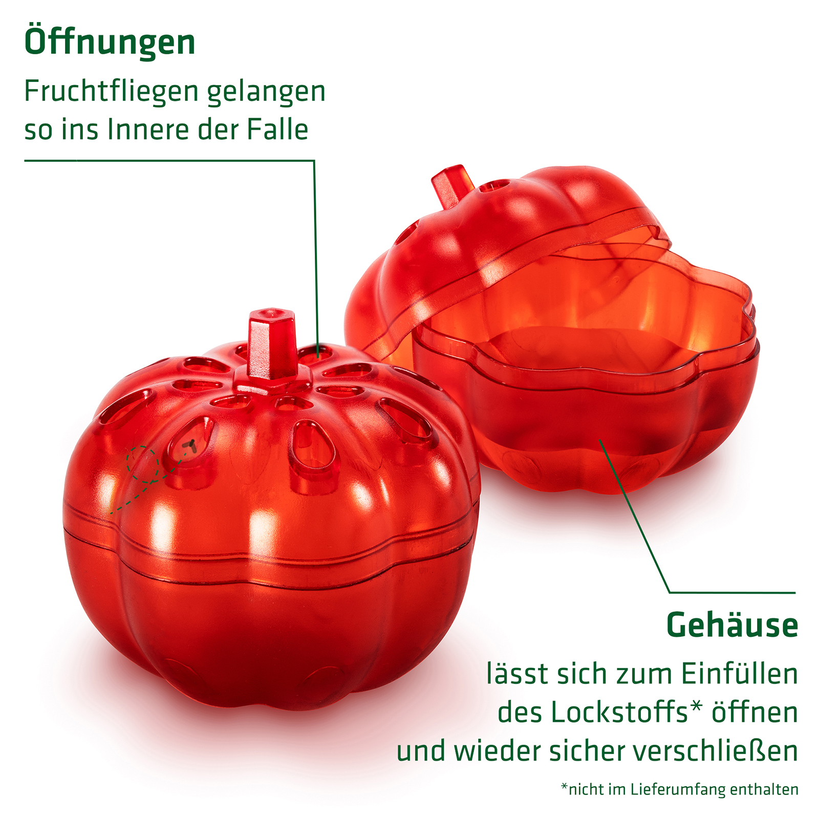 Einfach, aber durchdacht: Die Obstfligenfalle