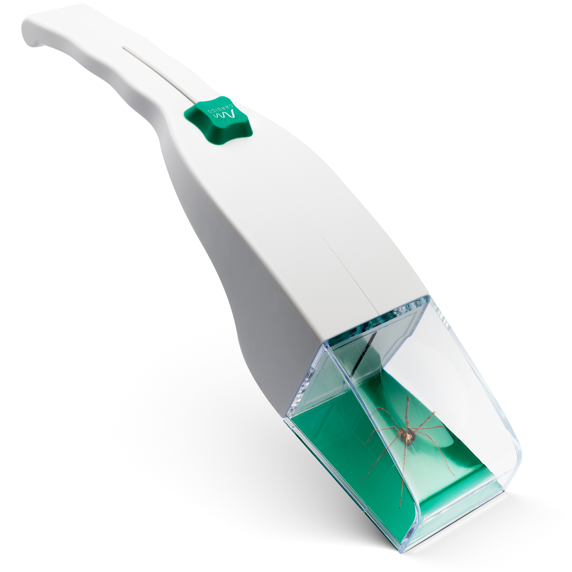 Attrape-Insectes Capture Vivante | Avec Loupe Intégrée | Pour Araignées, Insectes & Éducation Enfants