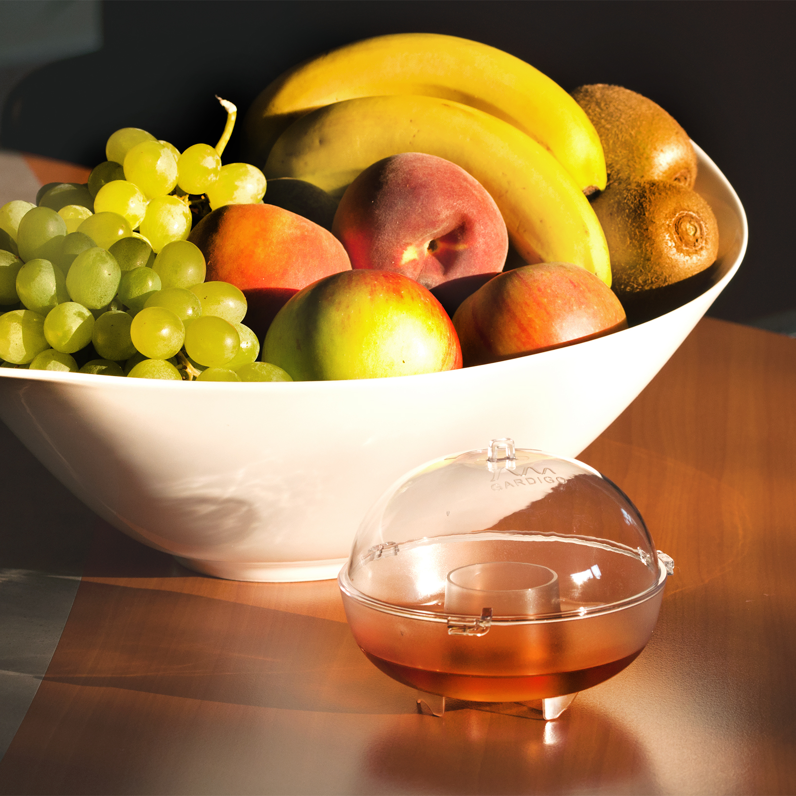Obstfliegen suchen überall nach süßen Früchten um sich dort zu vermehren.