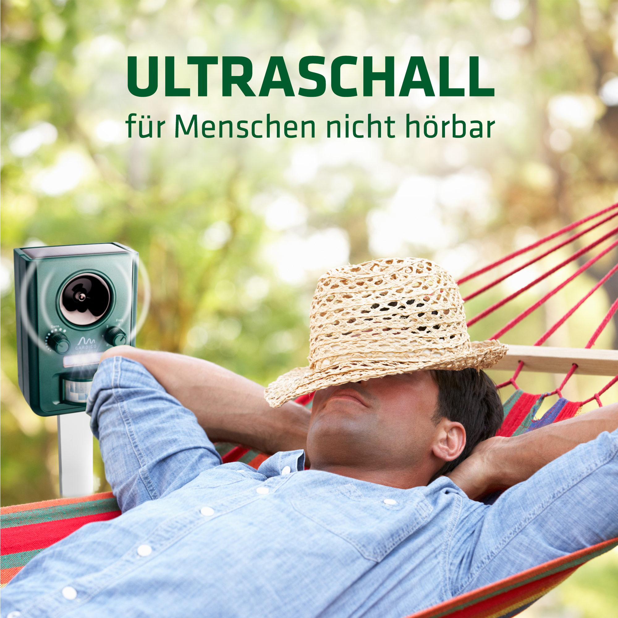 Ultraschall: Für Menschen nicht hörbar