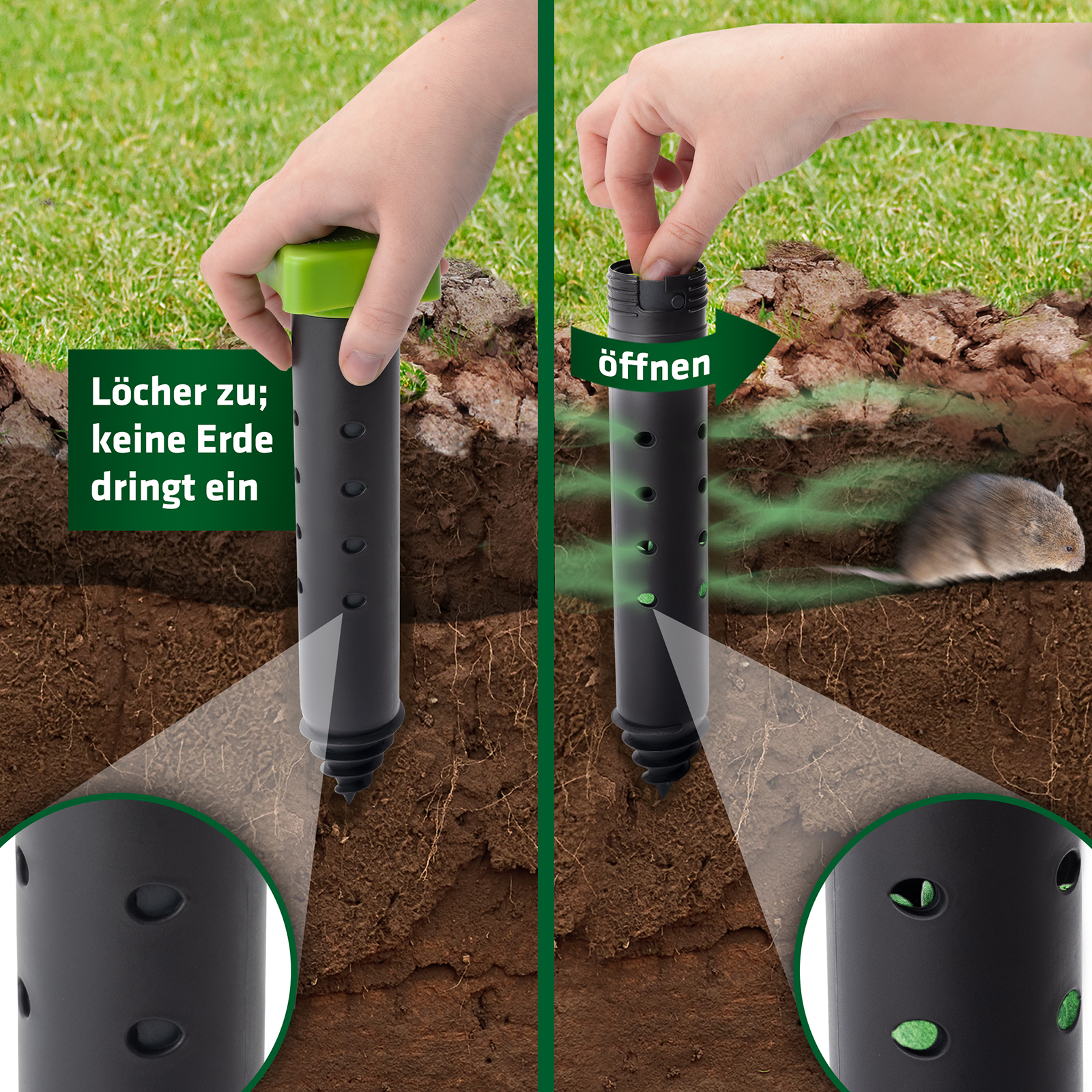 Unter der Erde werden die Löcher geöffnet und der Duft kann in den Wühlmaustunnel entweichen