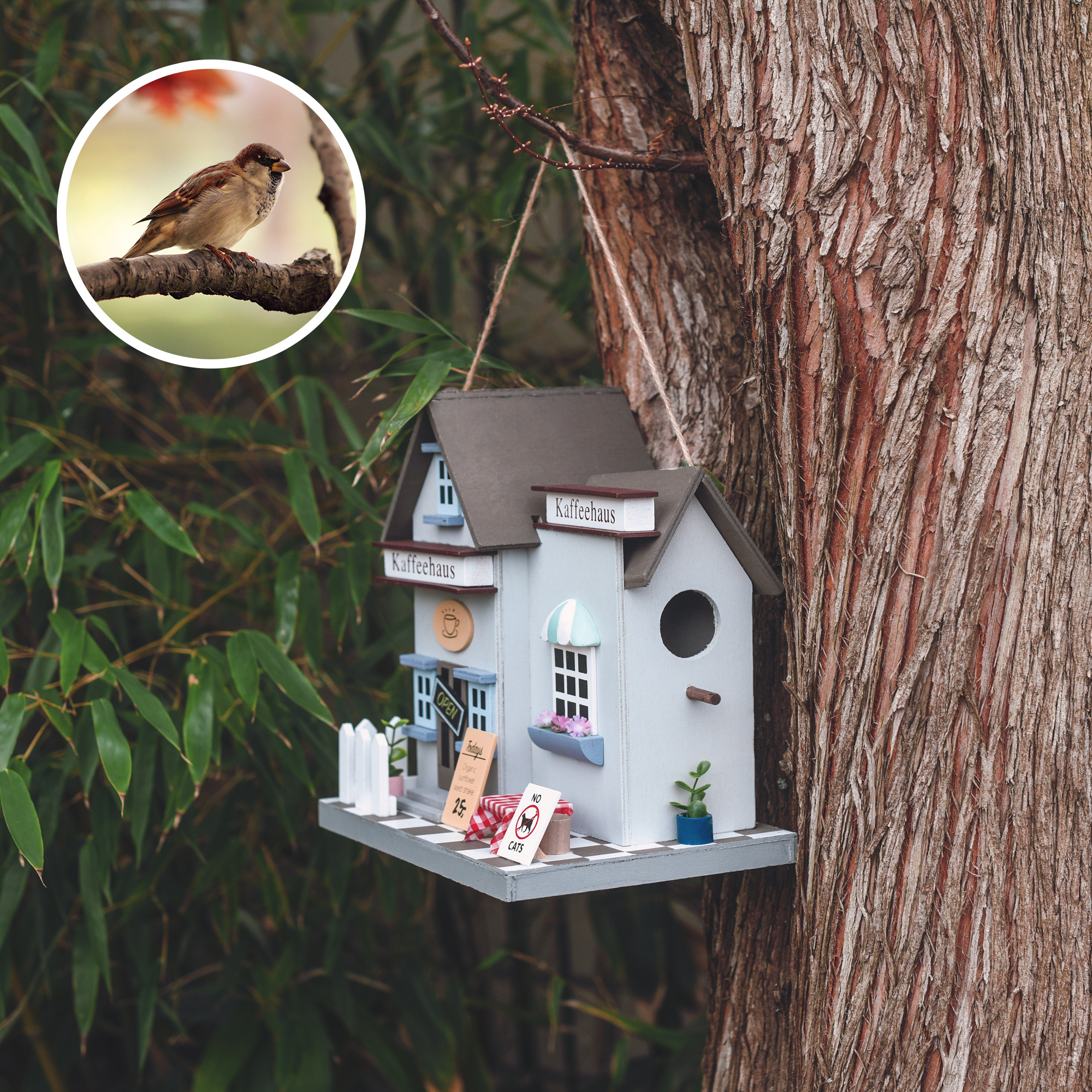 Das dekorative Haus eignet sich besonders für Haussperlinge und Trauerschnäpper.