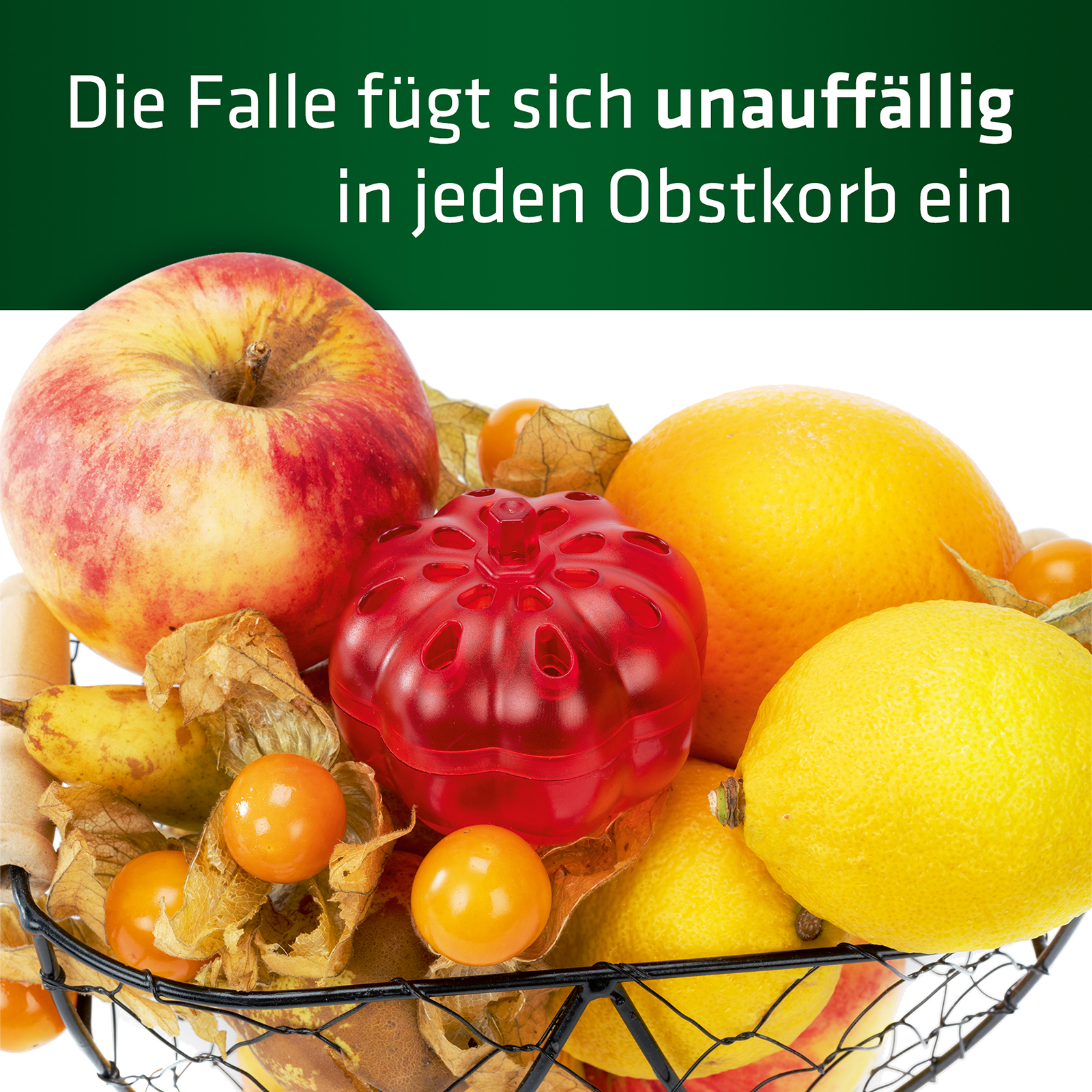 Stealth: Die Falle fügt sich unauffällig in jeden Obstkorb ein.