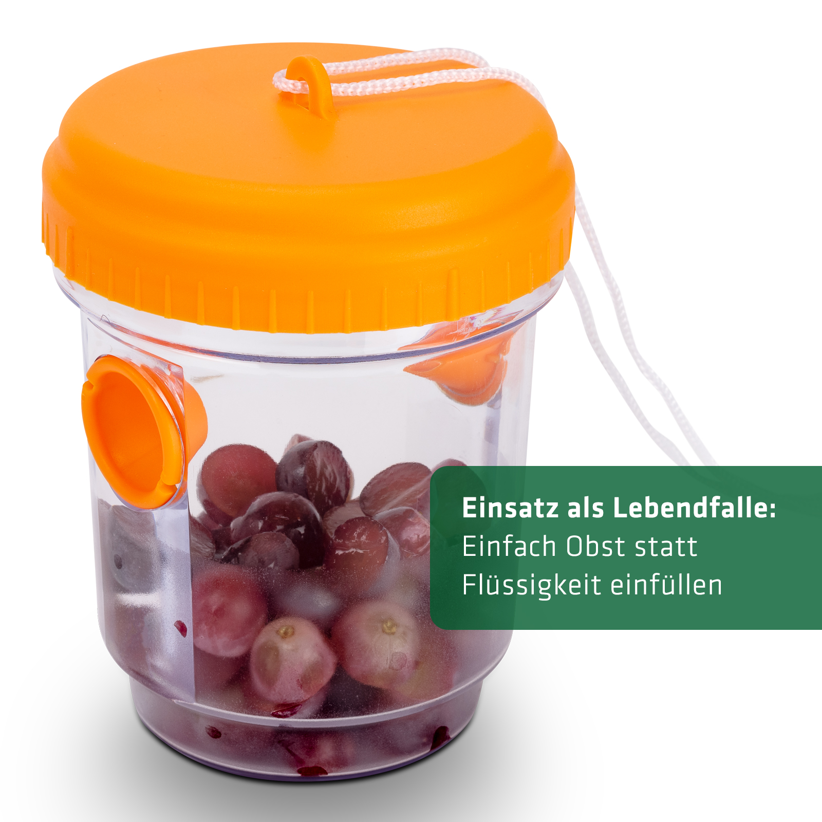 Obst, süße Speisen und Fleisch zählen zu ihren Leibspeisen aber am Esstisch sind sie ungewollt. 