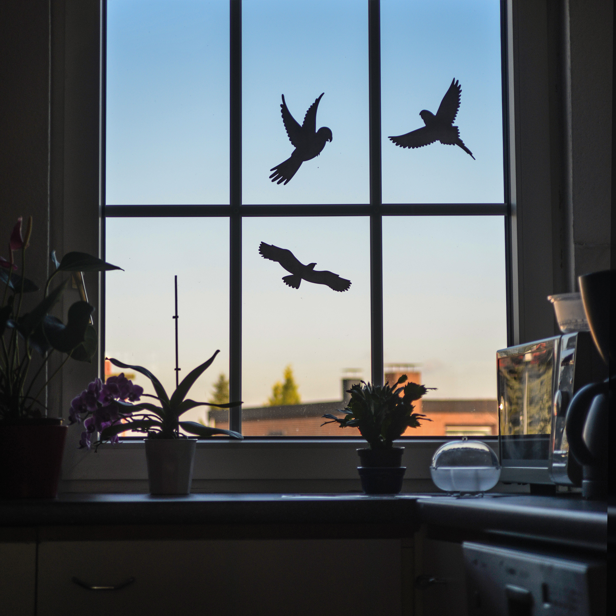 Autocollants Anti-Collision pour Oiseaux
