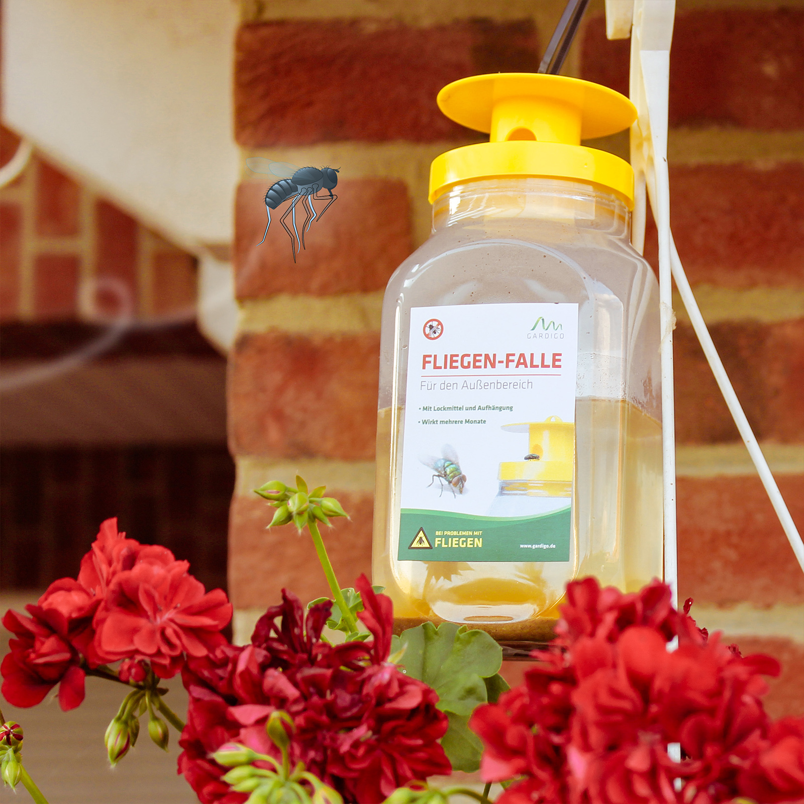 Die Lockwirkung beginnt nach ein bis zwei Tagen und hält dann mehrere Monate an.